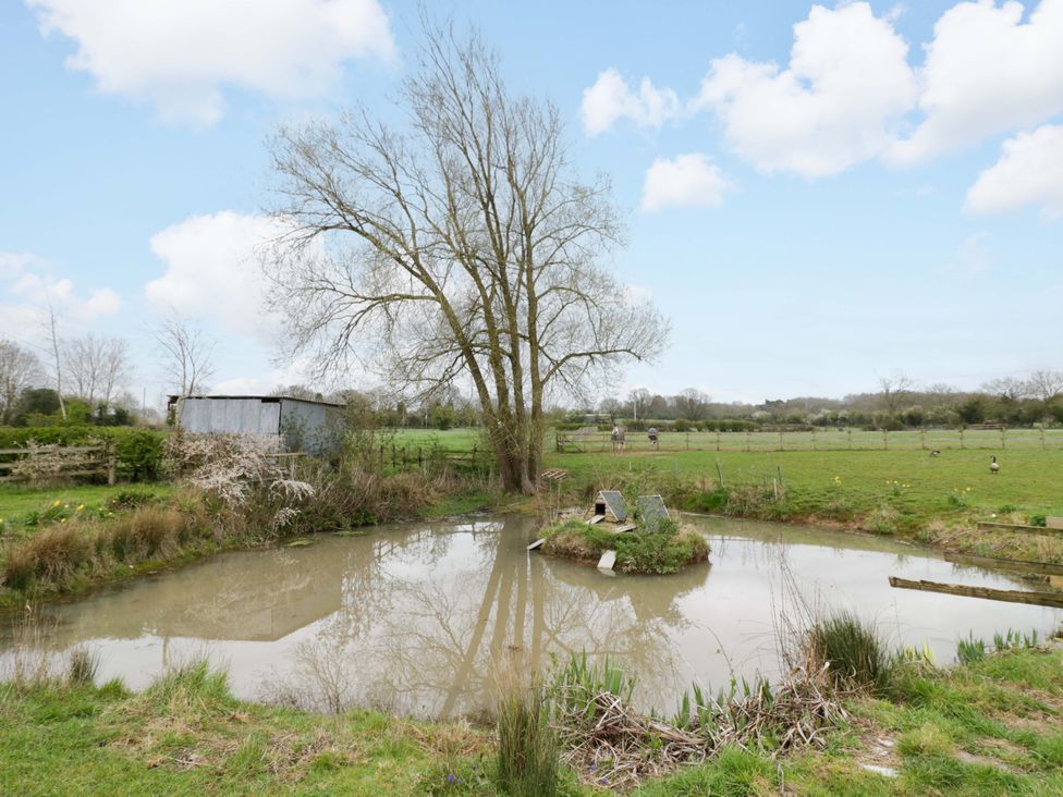 A pond with a tree and a shed at The Barn in Astwood Bank
