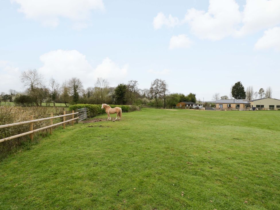 A horse in a field with trees and buildings at The Barn in Astwood Bank