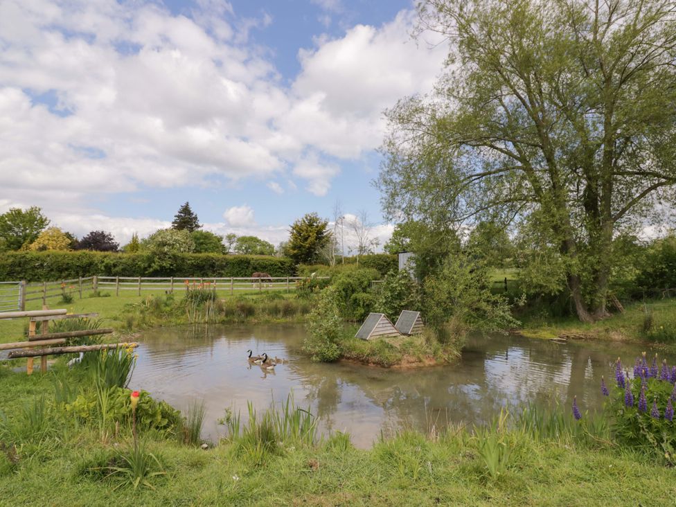 A pond with ducks and surrounding grass and trees at The Barn in Astwood Bank