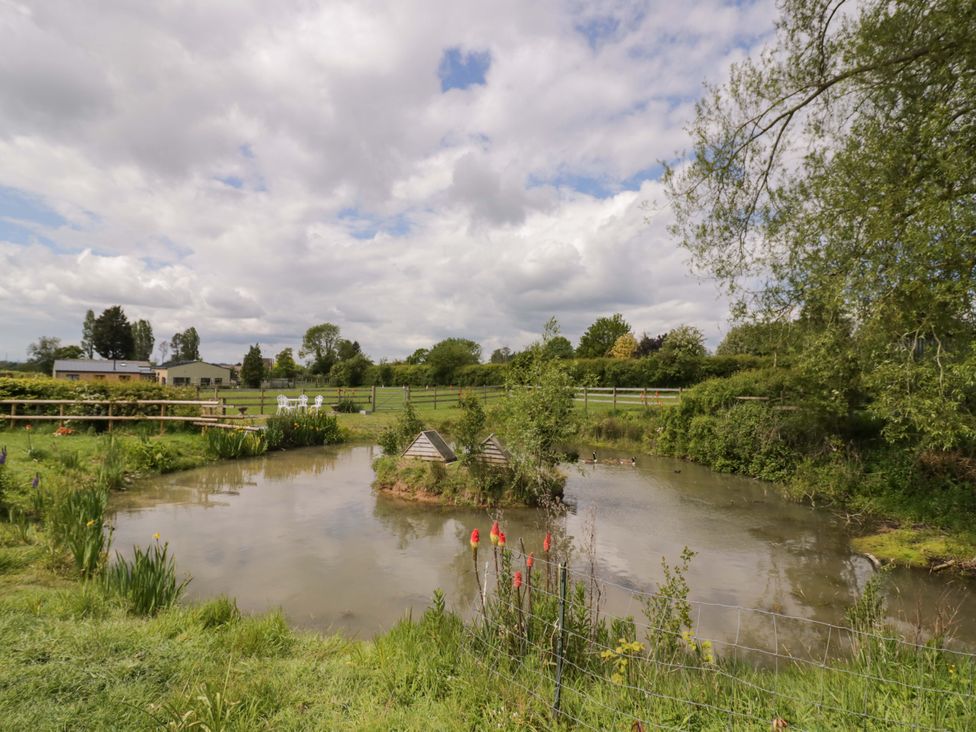 A pond with ducks and grass area at The Barn in Astwood Bank