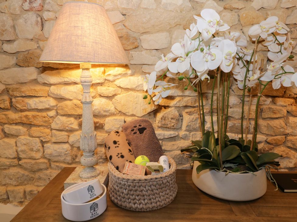 A living room with a lamp and plants at Bay House Cottage in Broadway