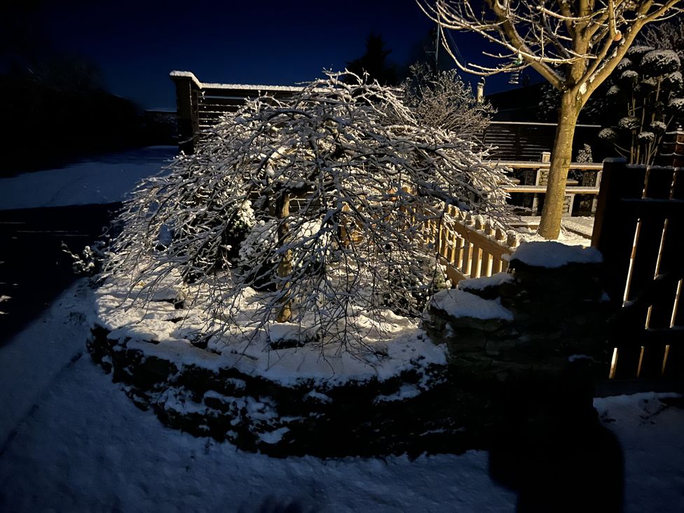 A snowy garden scene with a tree and wooden fence at A Stones Throw Sawdon near East Ayton