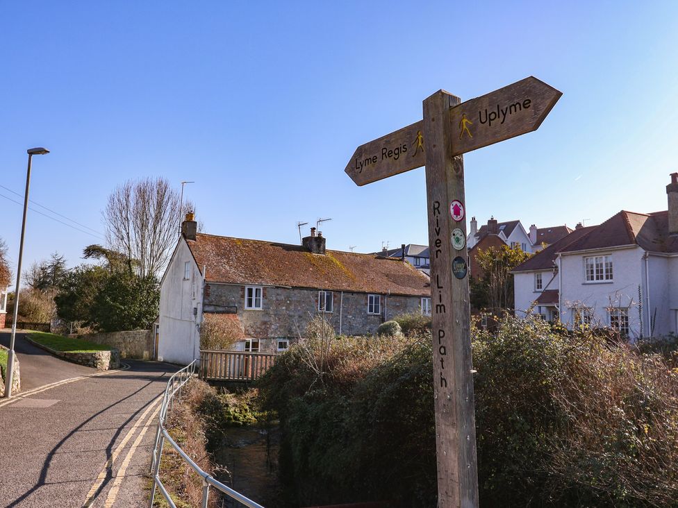 4 Lymbrook Cottages - Dorset - 1154395 - thumbnail photo 23