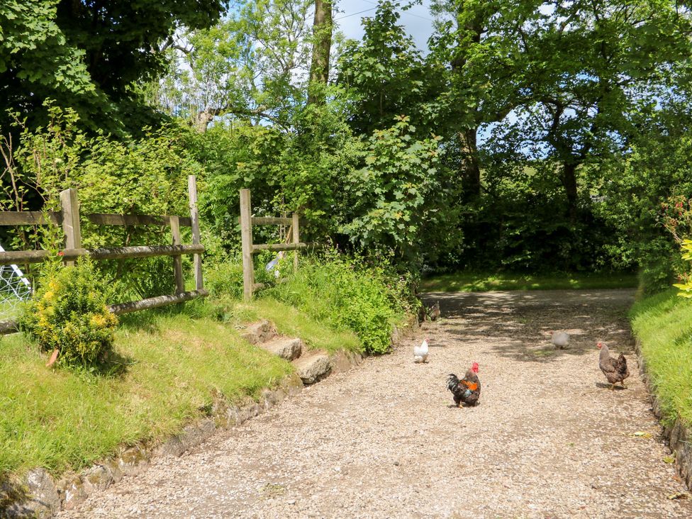 Connie's Cottage - Cornwall - 1154426 - thumbnail photo 38