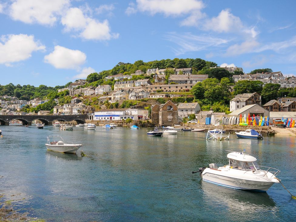 Sea Pinks - Cornwall - 1154480 - thumbnail photo 18