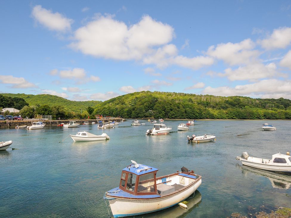 Sea Pinks - Cornwall - 1154480 - thumbnail photo 19