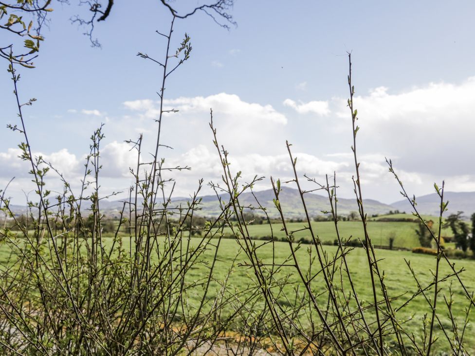 A view of grass fields and mountains from behind bushes at Derrywilligan 1,2,3 in Newry