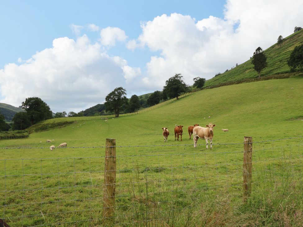 Bwthyn Camlan - North Wales - 1154611 - thumbnail photo 39