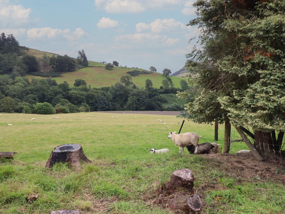 Bwthyn Camlan - North Wales - 1154611 - thumbnail photo 35