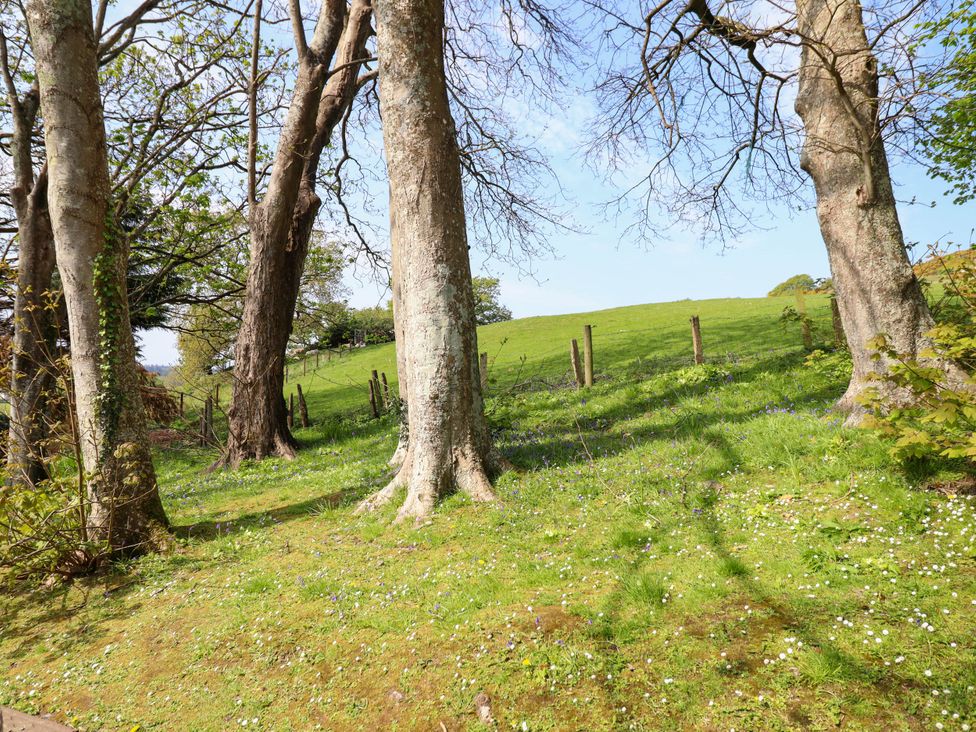 Hill View - North Wales - 1154646 - thumbnail photo 22