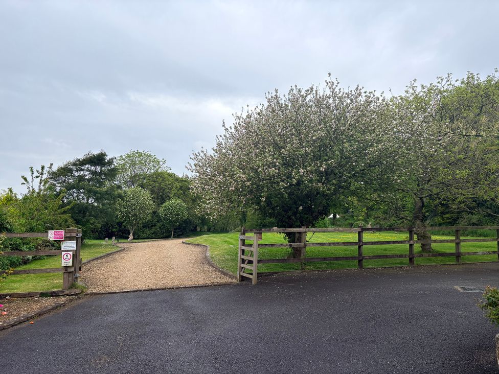An outdoor view with a gravel path and trees at Sunlight Cottage in St Erme near Truro