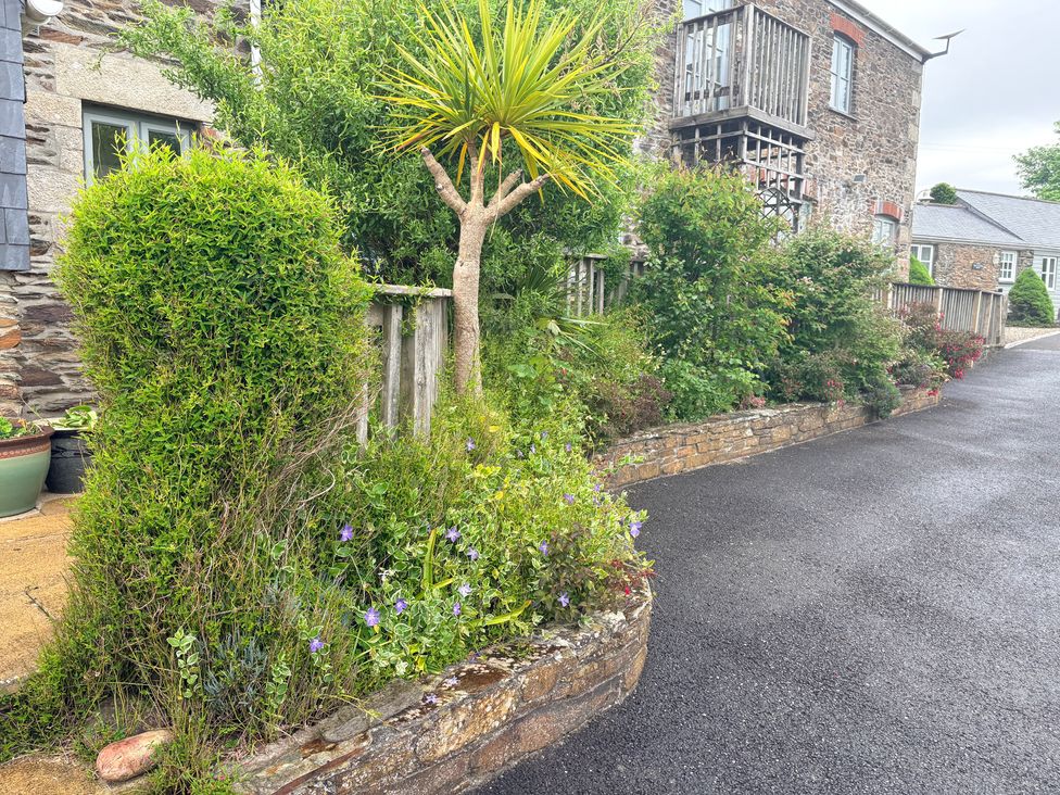 A garden area with plants and flowers at Sunlight Cottage St Erme near Truro