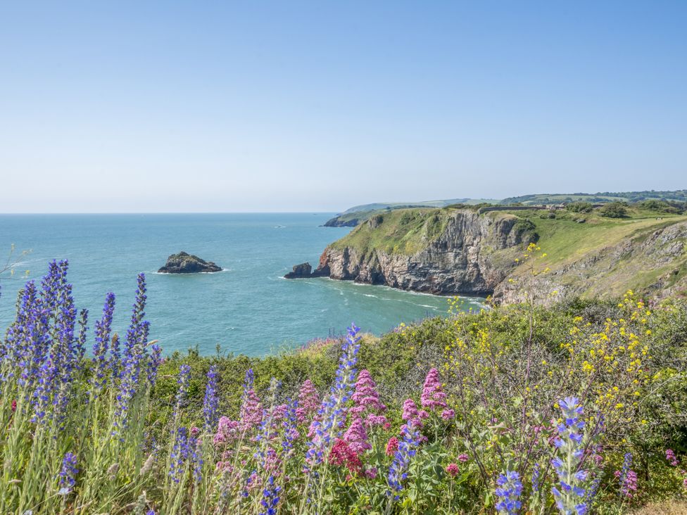 A coastal scene with cliffs and flowers overlooking the ocean at Lodge 62 at Riviera Bay Coastal Retreat, Brixham