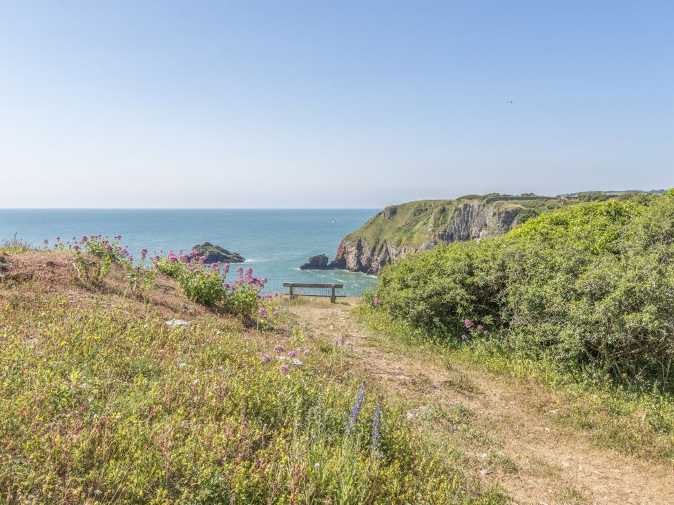 A view of the sea and cliffs with a bench at Chalet 34 at Landscove Holiday Park Brixham