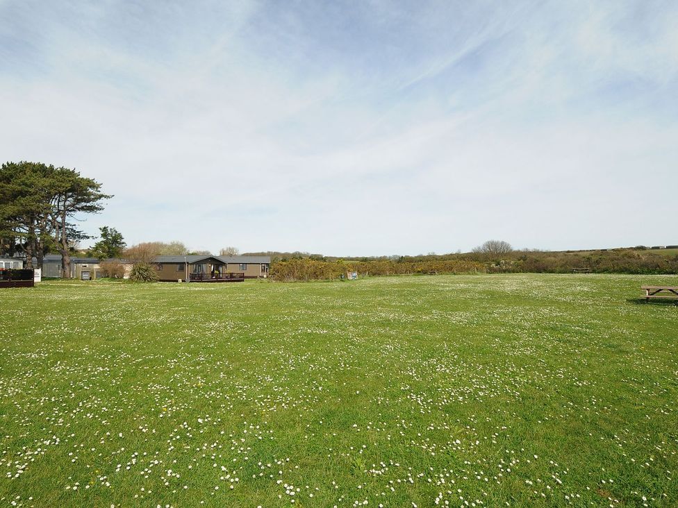 T/B Chalet T38 at Landscove Holiday Park - Devon - 1154796 - thumbnail photo 19