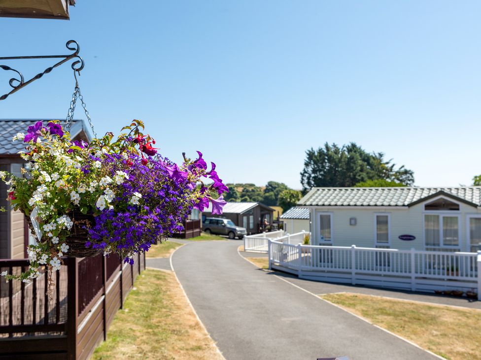 A flower basket hanging near a road with holiday homes at Chalet 38 at Landscove Holiday Park Brixham