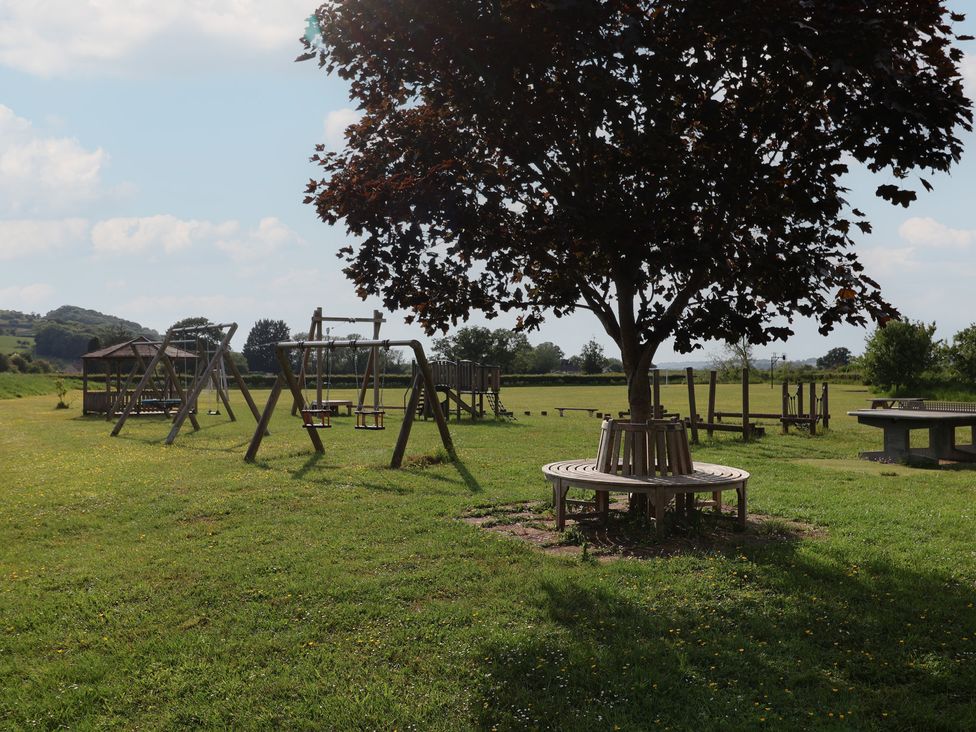 An outdoor park with swings and a tree at Metcalfe House in Compton Dundon