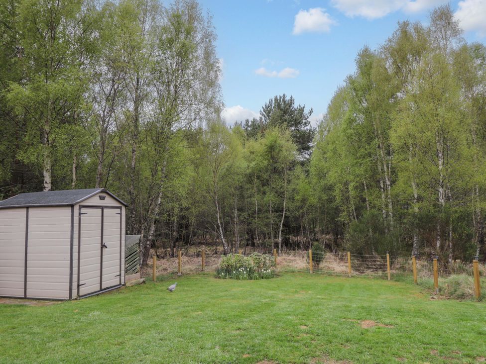 A garden with a shed and trees at 6 Carn Dearg in Aviemore
