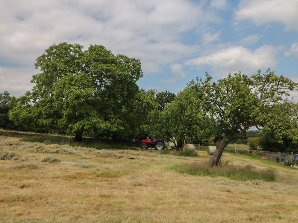 Meadow Barn - Peak District & Derbyshire - 1155115 - thumbnail photo 29