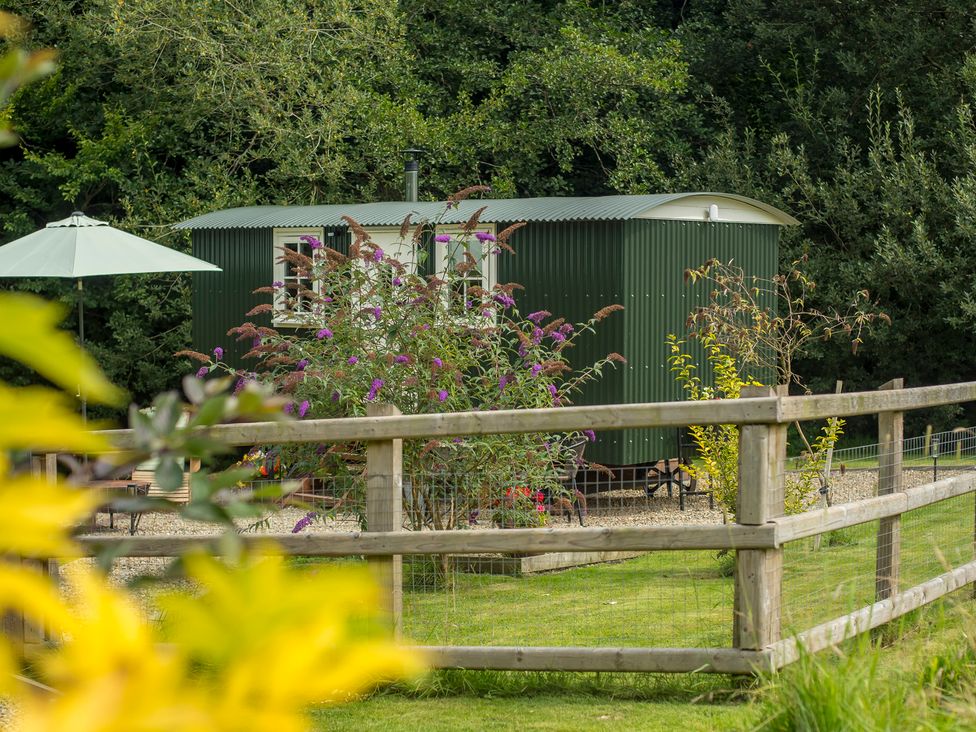 A shepherd's hut and garden with flowers at Collen in Aberaeron