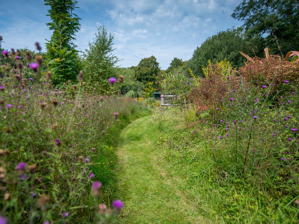 Collen - Mid Wales - 1155155 - thumbnail photo 32