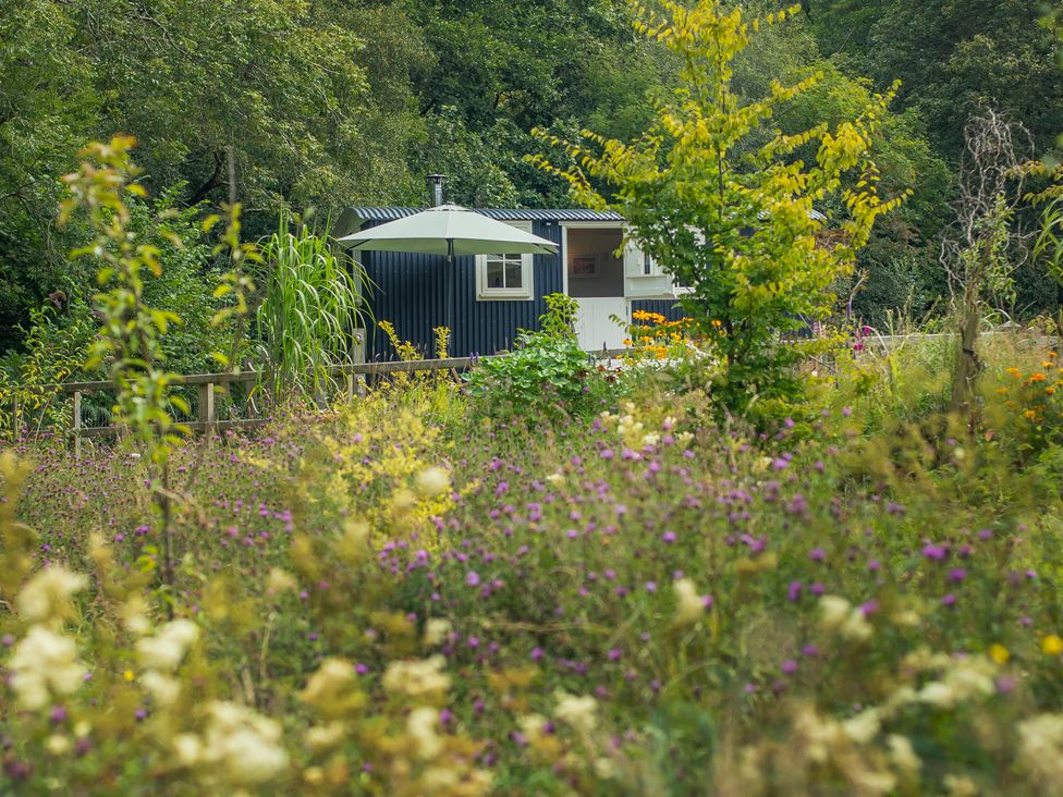 A building with an umbrella in a flower field at Bedwen in Aberaeron