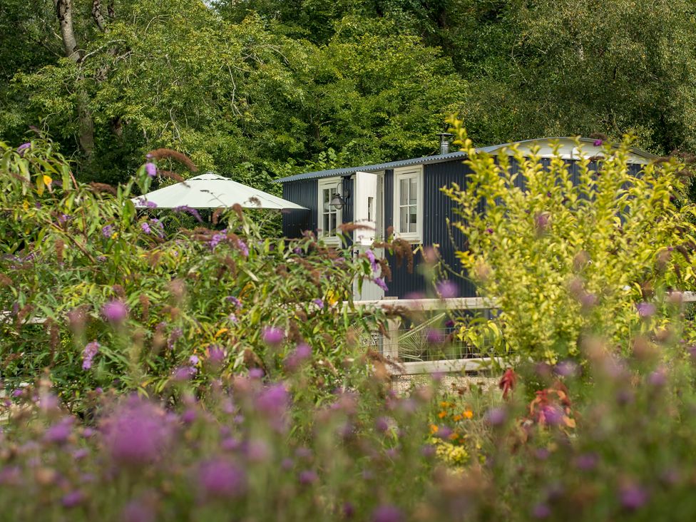 A house surrounded by flowers and a fence at Bedwen Aberaeron