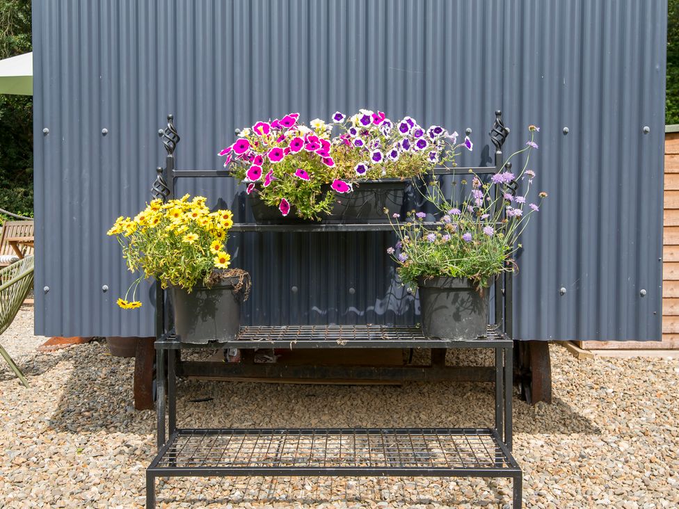 A shelving unit with flower pots in an outdoor area at Bedwen Aberaeron