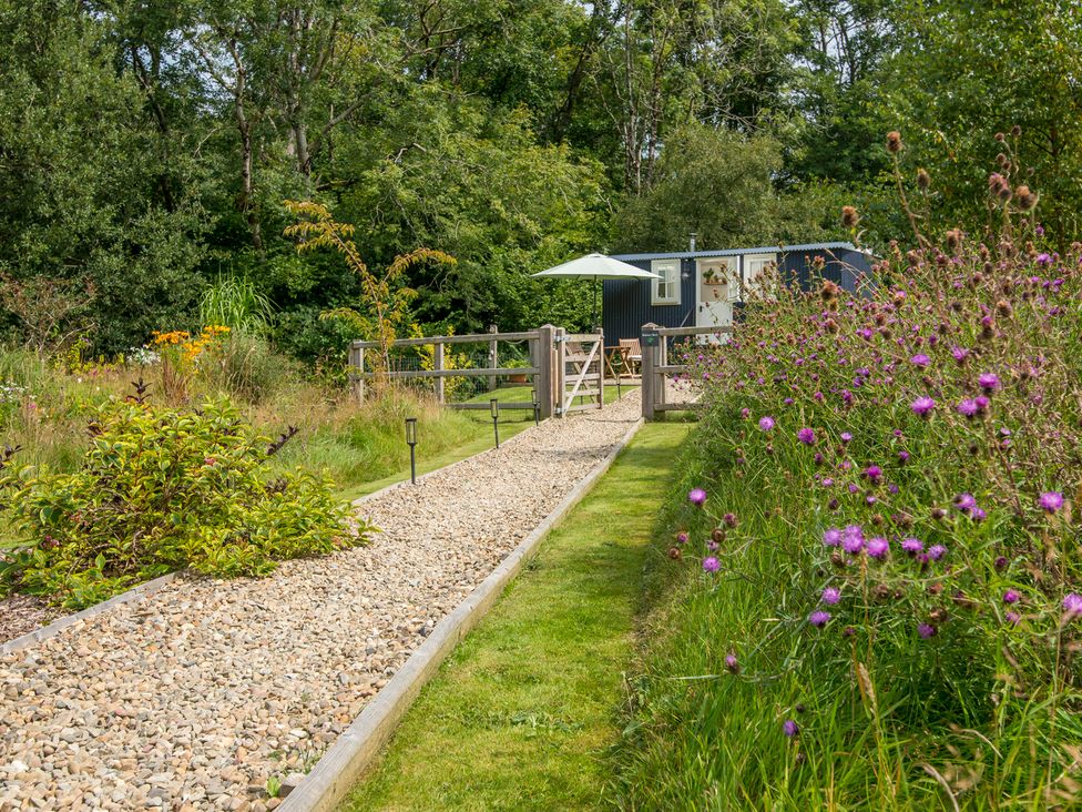 A garden with a gravel path and flowers at Bedwen in Aberaeron