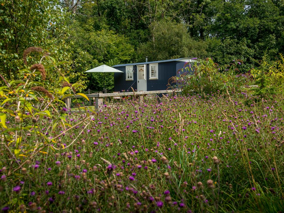 A cabin with a patio umbrella surrounded by flowers at Bedwen in Aberaeron