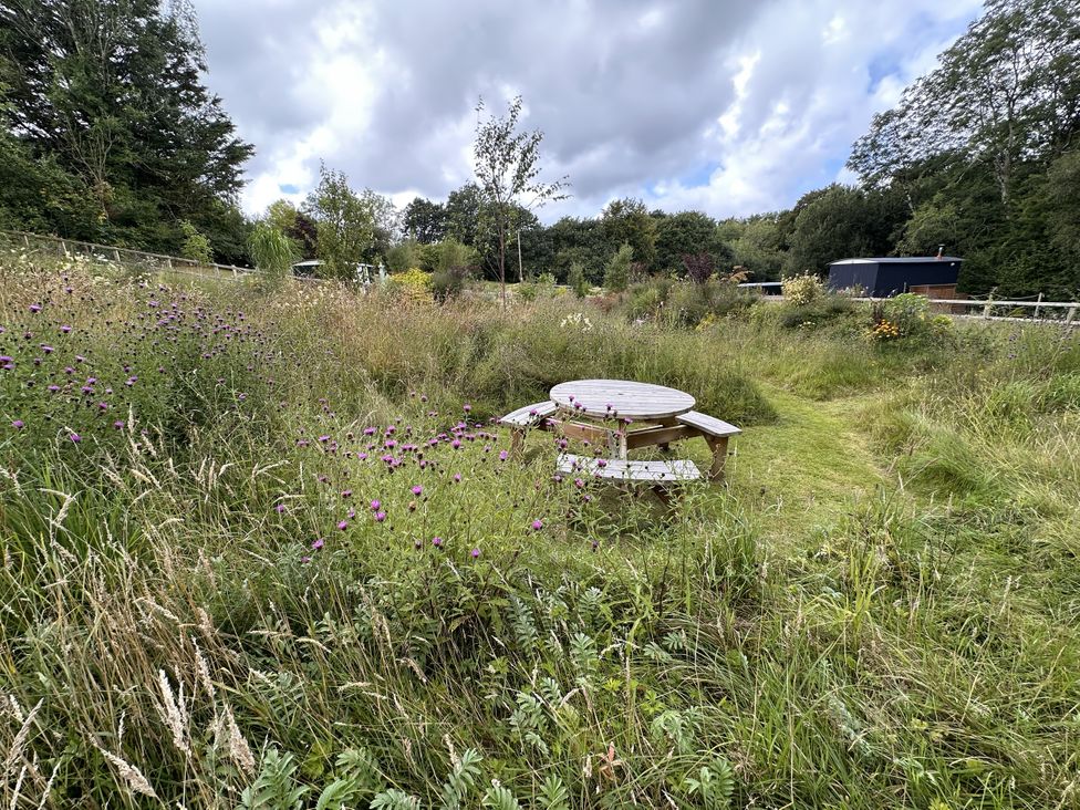 A garden with a table and benches surrounded by grass and flowers at Bedwen in Aberaeron