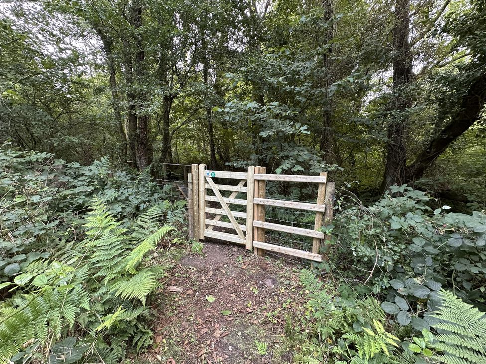 A wooden gate leading into a wooded area at Bedwen in Aberaeron