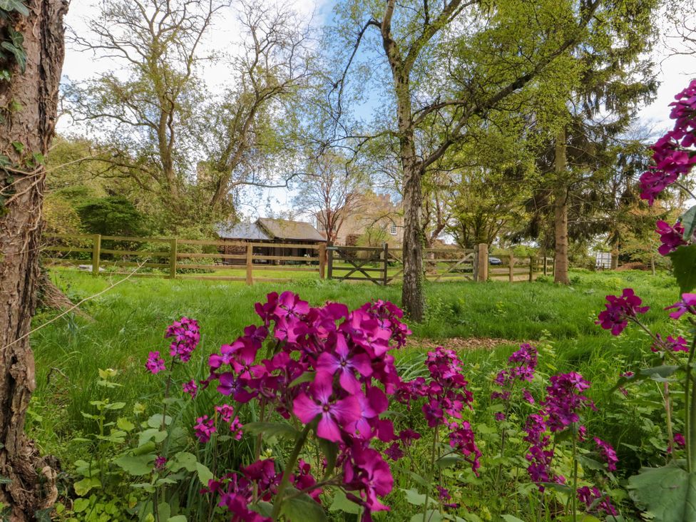 Snape Castle Garden Lodge - Yorkshire Dales - 1155303 - thumbnail photo 22