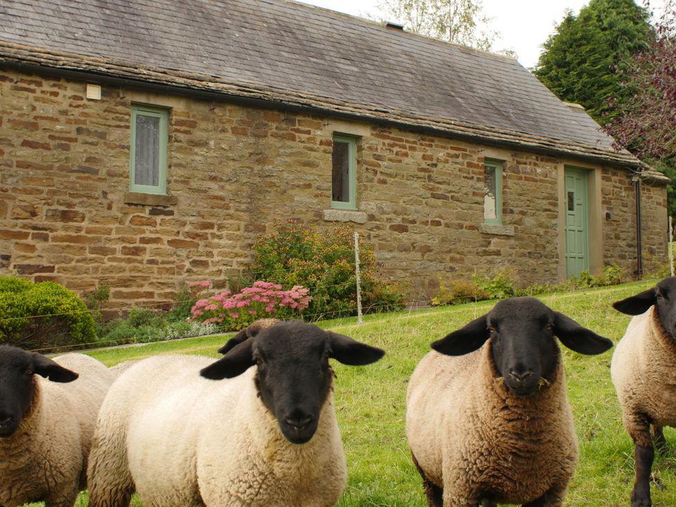 Temperance Croft - Peak District & Derbyshire - 1155313 - thumbnail photo 24