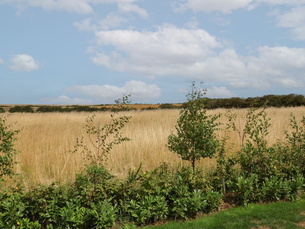 A landscape view with grass and trees at Sea Roke in Filey