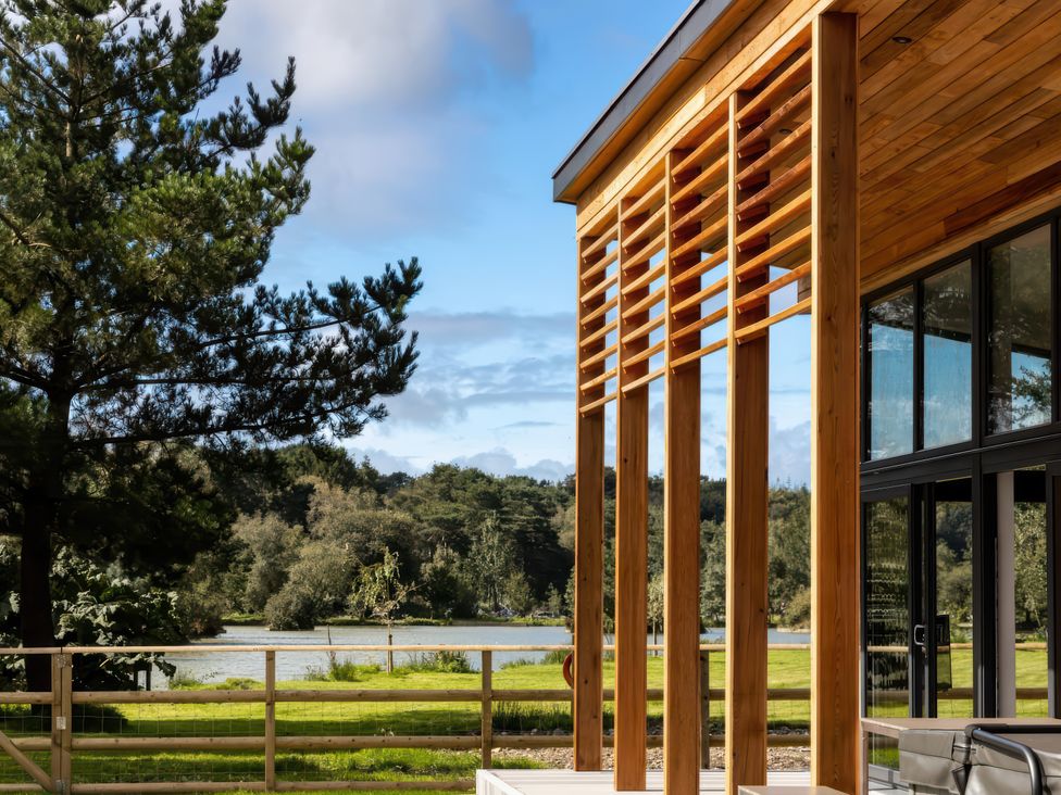 Silver Birch - Devon - 1155433 - thumbnail photo 2