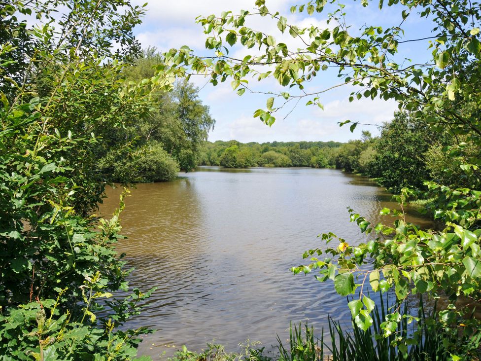 A lake surrounded by trees and foliage at Cherry in Dolton