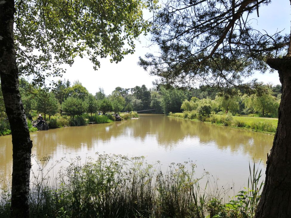 A scenic pond surrounded by trees and bushes at Cherry in Dolton