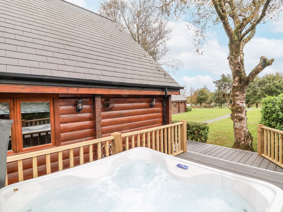 An outdoor space with a hot tub and a log cabin at Willow in Dolton