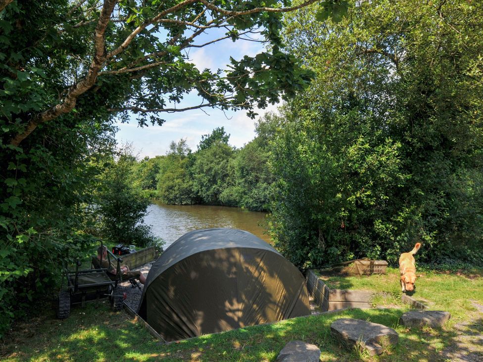 A tent by the water surrounded by trees at Willow in Dolton