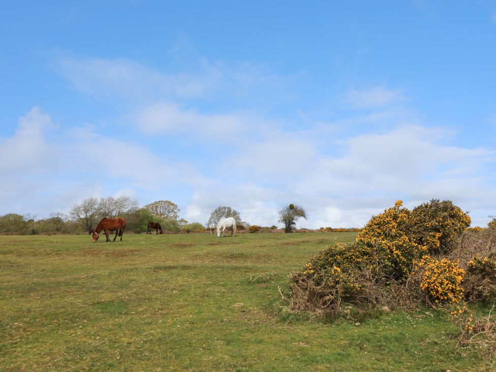 Plummers Water - Hampshire - 1155530 - thumbnail photo 25