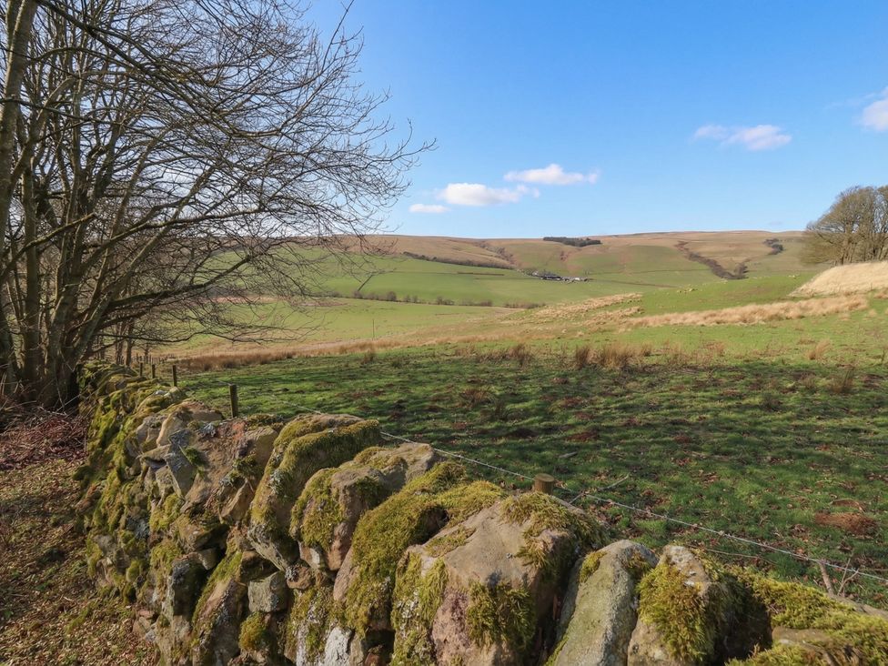A grassy landscape with a stone wall and trees at Cragg Lodge West Woodburn