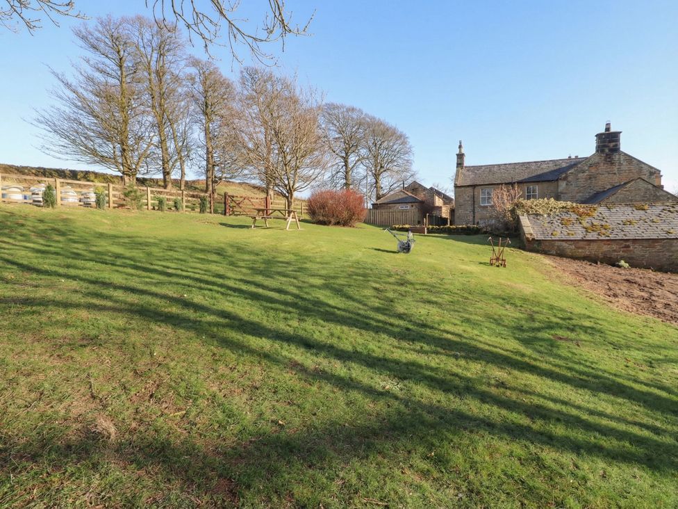 An outdoor scene with grass and trees at Cragg Lodge West Woodburn