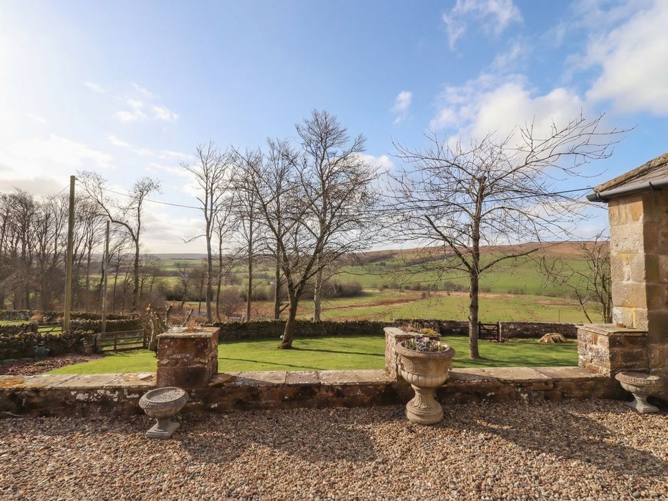 A view of the landscape with trees and a stone wall at Cragg Lodge in West Woodburn