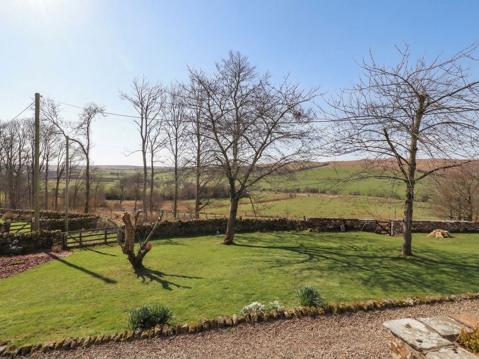 A garden with trees and a stone wall at Cragg Lodge, West Woodburn