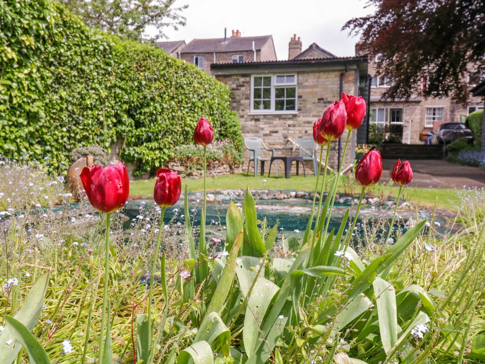 A garden with red tulips in front of a stone house with chairs and a table at The Cottage in Sudbury