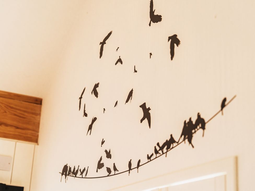 A wall with bird decals at Glanllyn Bach in Llanfaelog