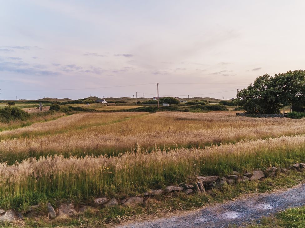 A field with grass and a house in the distance at Glanllyn Bach in Llanfaelog