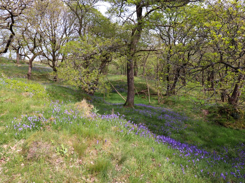 Doe Lodge - Yorkshire Dales - 1155685 - thumbnail photo 38