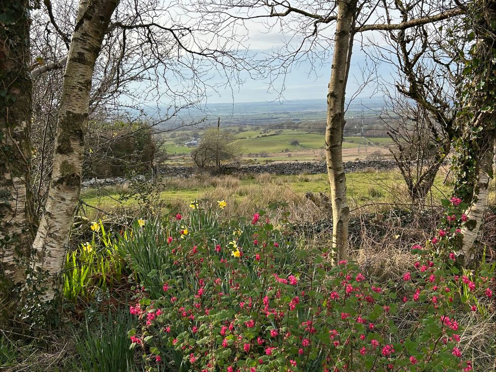 A view of hills and flowers with trees at Tan Y Merddyn in Ceunant near Llanrug